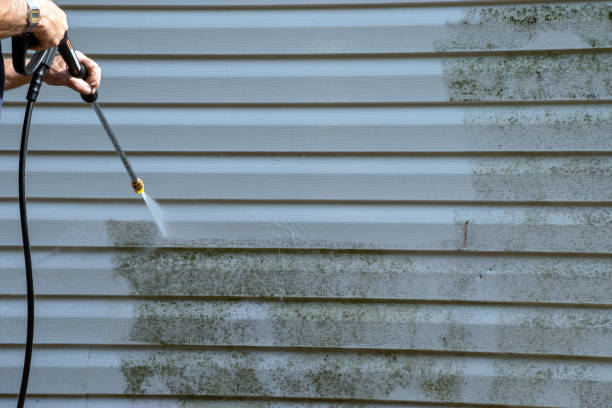 Best Storm Damage Siding Repair  in Spencer, WI