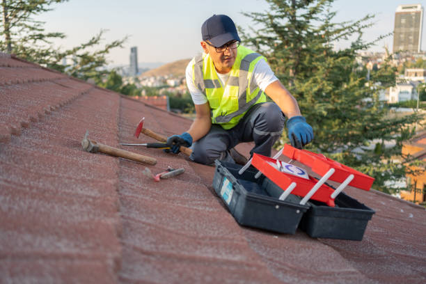 Best Fascia and Soffit Installation  in Spencer, WI
